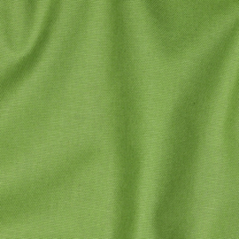 Canvas | Lime 012