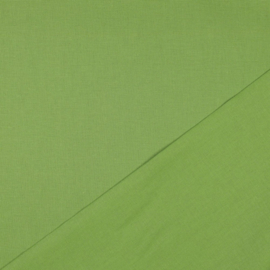 Canvas | Lime 012