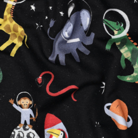 Verhees  Sweat  - Space Animals