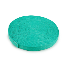 Katia Fabrics - Polyester Tassenband - 30 mm - Mint Fluo