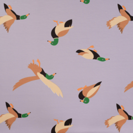 French Terry - Print -  Ducks   - Lavender