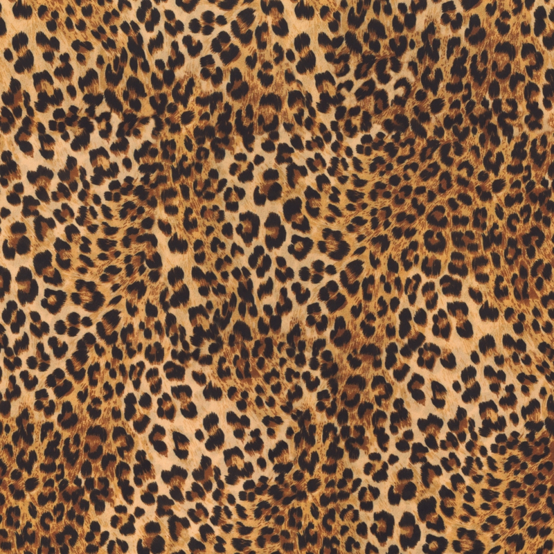 Velvet | Leopard Animal Skin