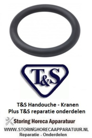 324594261- T&S O-Ring