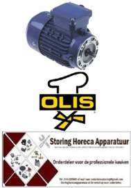 360501405 - Motor zonder tandwiel W 230/400-280/480V 50/60Hz fasen 3 1,2/0,7-1,15/0,67A schacht ø 11mm OLIS