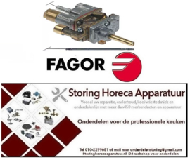 816109534 -Gasthermostaat type gasingang pijpflens ø21mm bypass sproeier ø 0,5mm gasuitgang 3/8" FAGOR