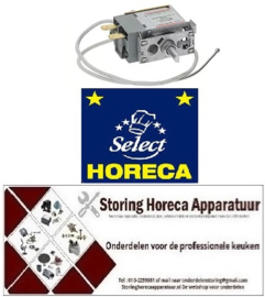507703249 - Thermostaat 250V 6A voor HORECA-SELECT