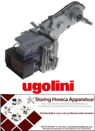124499065 - Tandwielmotor type 22800-22500 10W 230V voor drakenmachine UGOLINI