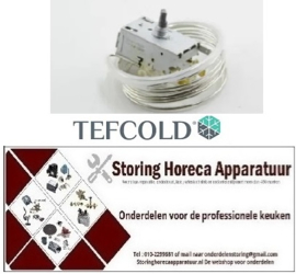 19313998 - Thermostaat K50B-S16176 voor koelkast TEFCOLD