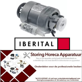 105500793 - Motor met riemschijf 120W 230V 50/60Hz fasen 1 schacht ø 10mm 1390/1600U/min type RM63/50 ø 90mm IBERITAL