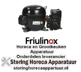 248605078  -Compressor koelmiddel R404a/R507 type NT2180GK 220-240V 50Hz LBP volledig hermetisch 17,3kg 1HP FRIULINOX