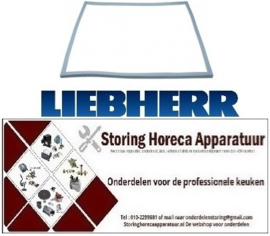 3137109187 - In lijm koelkast deurrubber LIEBHERR GG1550
