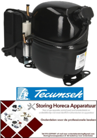 4133.070148 - Koel compressor CAJ4511Y/R CSR TECUMSEH