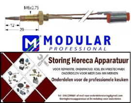 202102127 - Thermokoppel met twee geleiders L 600mm MODULAR