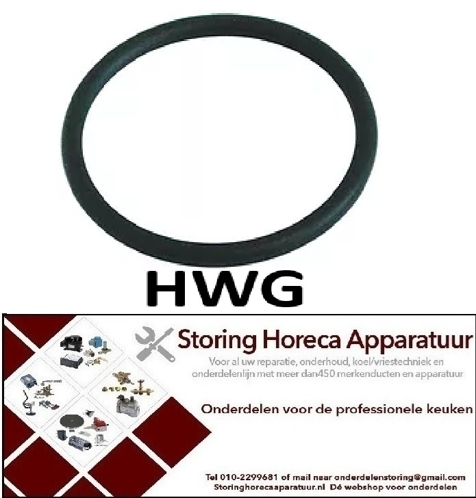 176691033 - O-ring