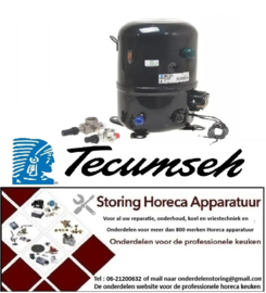 7625077034 -Compressor type FH4538Z-XG1A Tecumseh