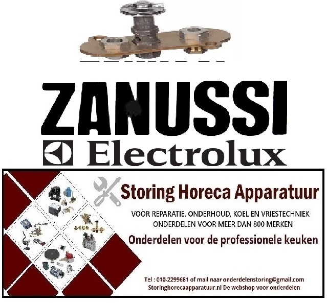 136PT00000832 - Waakvlambrander 1-vlammig voor ELECTROLUX, ZANUSSI