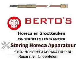 541107619 - Thermokoppel L 1000 mm voor horeca apparatuur BERTOS