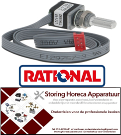 300300198 - Potmeter voor oven RATIONAL
