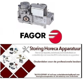 281106420 -Gasventiel type VK4115V 220/240V 50/60Hz gasingang 1/2" NPT gasuitgang flens 32x32mm FAGOR
