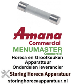 AMANA MAGNETRON - HORECA EN GROOTKEUKEN APPARATUUR REPARATIE, RESERVE ONDERDELEN