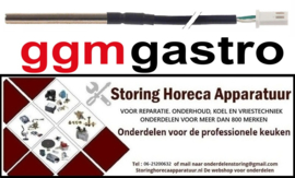 173.3813.39 - Voeler NTC 10kOhm kabel PVC voeler -40 tot +110°C GGM GASTRO