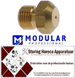 162102291 - Gasinspuiter draad M10x1 SB 12 boring ø 0,85 mm MODULAR 65/70FRG
