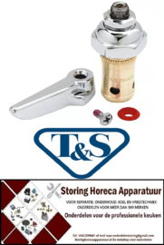322594243 - T & S KRAAN Binnenwerk T&S old EB compleet warm water met greep