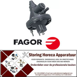 422361015 - Doseerapparaat membraampomp glansspoelmiddel ingang 6x8mm uitgang 4x6mm drukaansluiting ø 4x6mm FAGOR