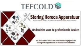 TEF23932810 - Condensorventilator voor pizza koelwerkbank TEFCOLD PT1300