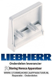 4907424266 - Magneet koelkast, vrieskast LIEBHERR