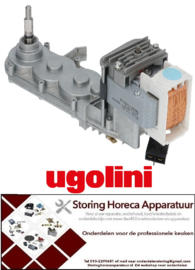 2055029270 - Tandwielmotor 230V 50Hz voor drankenmachine UGOLINI