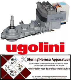 124499065 - Tandwielmotor type 22800-22500 10W 230V voor drankenmachine UGOLINI