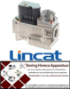 784106012 - Gasventiel type VK4115V 220-240V 50/60Hz gasingang flens 32x32mm gasuitgang flens 32x32mm LINCAT