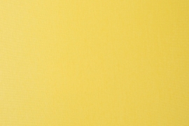 Lampenkap kleur 045