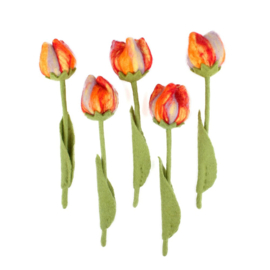 Tulp vilt lang multi