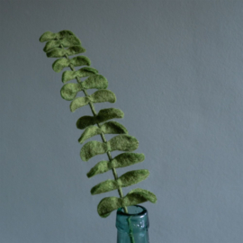 Bloem vilt tak blad eucalyptus L