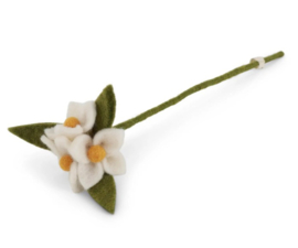 Bloem vilt tak wit