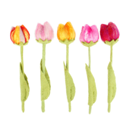 Bloem tulp vilt lang multi