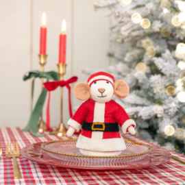 Eiwarmer/decoratie Sjaal met Verhaal kerstmuis