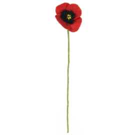 Bloem vilt klaproos rood