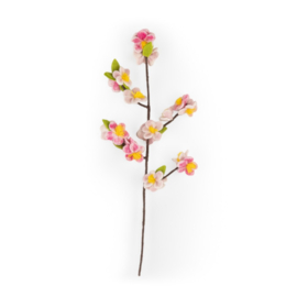 Bloem vilt appelbloesem
