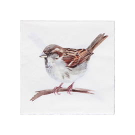 Servetten Vogels huismus