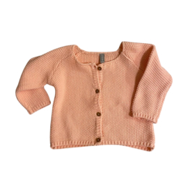 Metropolitan Voorvoegsel Middellandse Zee Babyvestje licht roze maat 56 | baby vestjes | Kinderen van de Evenaar