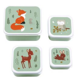 Lunch-/snacksetje 4 delig A Little Lovely Company dino's