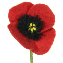 Bloem vilt klaproos rood