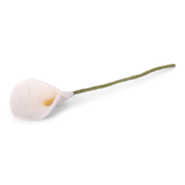 Bloem vilt anthurium wit