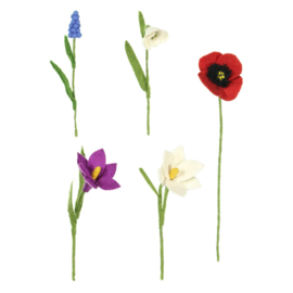 Bloem vilt klaproos rood