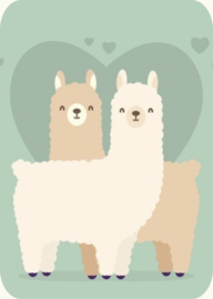 Kaart KvdE Alpaca duo