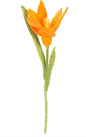 Bloem vilt krokus oranje