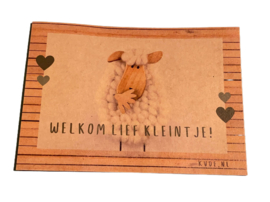 Kaart Welkom lief kleintje! met envelop